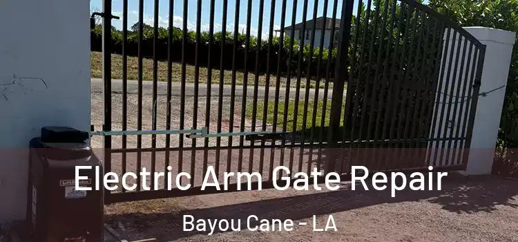  Electric Arm Gate Repair Bayou Cane - LA