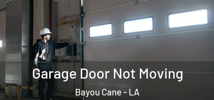  Garage Door Not Moving Bayou Cane - LA