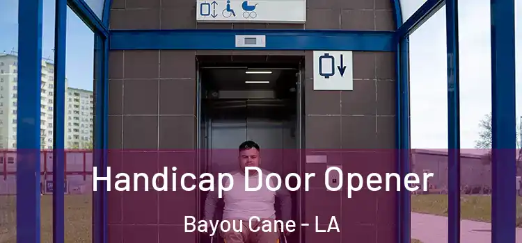  Handicap Door Opener Bayou Cane - LA