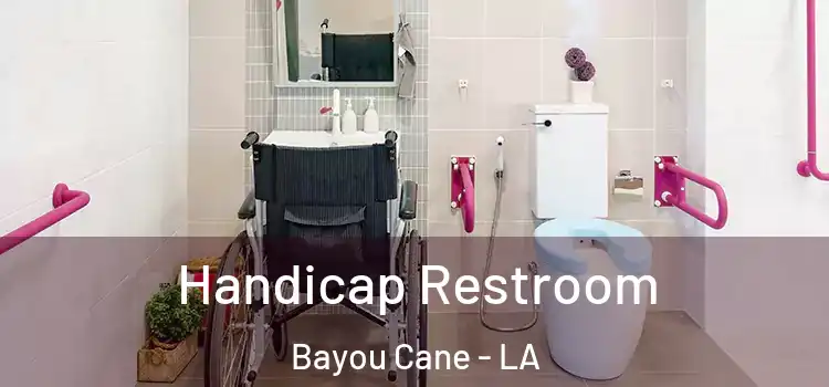  Handicap Restroom Bayou Cane - LA
