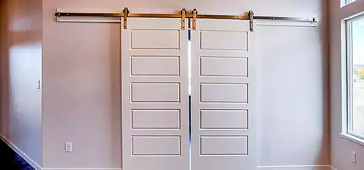Glass Barn Door with Installation Hardware Kit Bayou Cane