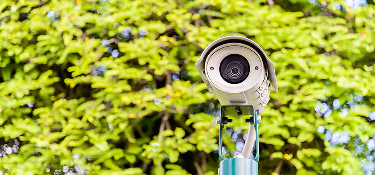 Advanced Surveillance Solutions for Every Need in Bayou Cane