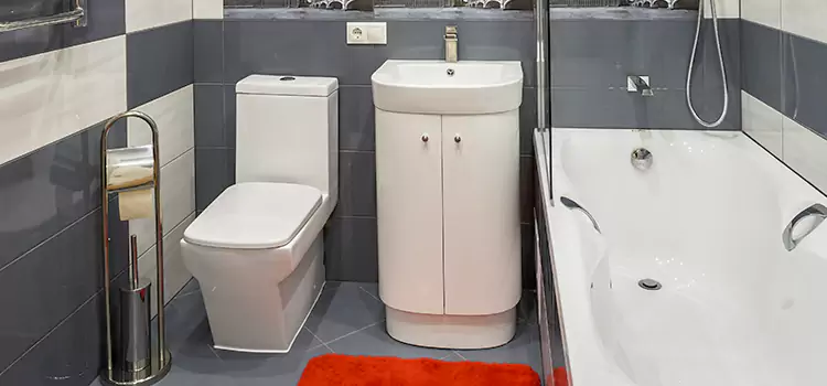 Hansgrohe Shaving Mirror Bayou Cane